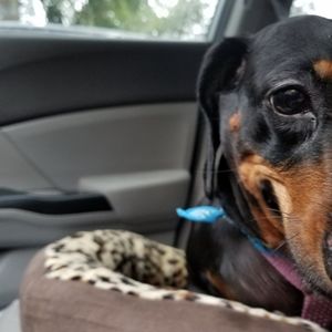 Meet your Posher, Kimberly